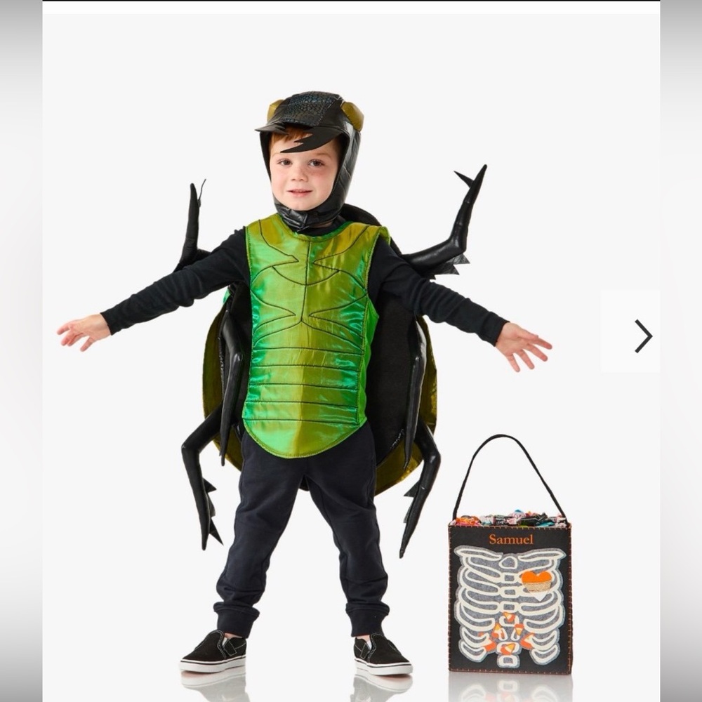 Pottery Barn Kids Glow-in-the-Dark Beetle Costume